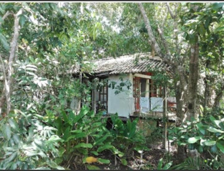 Bahia Das Jangadas. Hotell Serra Grande  Eksteriør bilde
